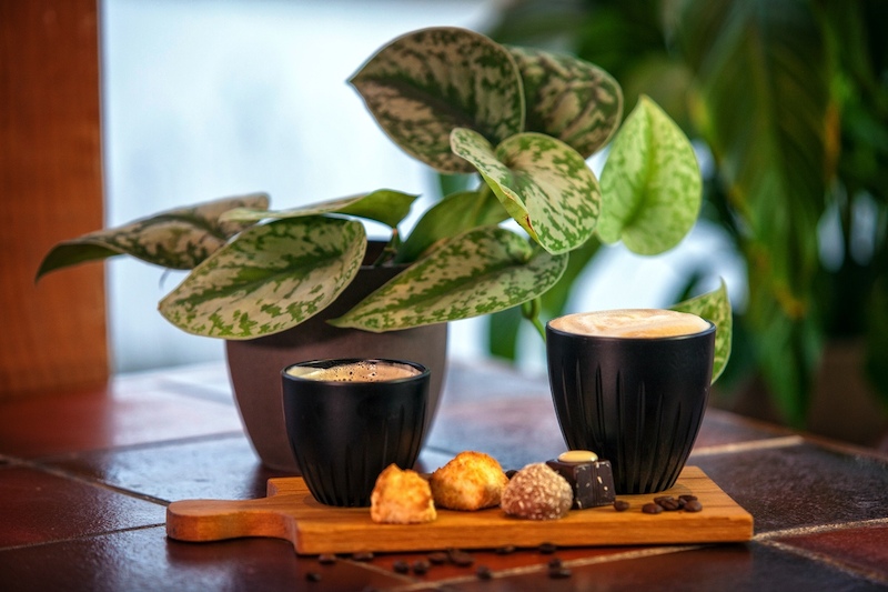 CoffeeBased Plantenpot